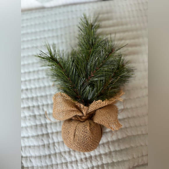 🧡 Tree Home Decor Farmhouse Plants Country BUNDLE DEALS - Picture 6 of 8